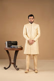 Ivory gold Sherwani