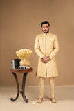 light gold  Sherwani